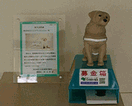 图片：导盲犬基金筹募活动